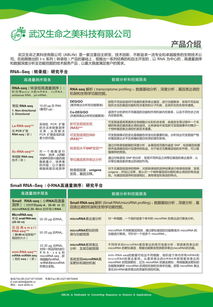 生命之美公司P1技术服务 以RNA为核心的高通量测序与深度功能挖掘